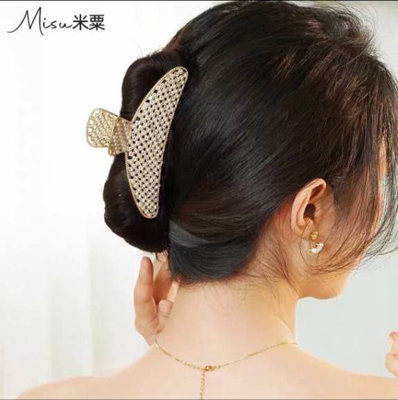 کلیپس مجلسی نگینی